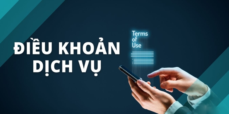 Điều Khoản Dịch Vụ Tại Banca